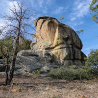 Mt Lemmon Loop