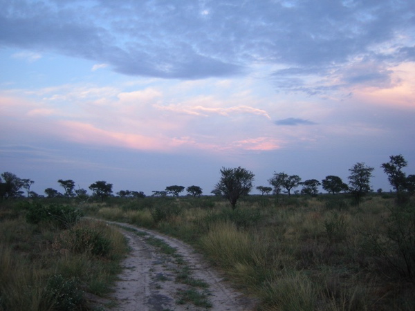 pink_dawn