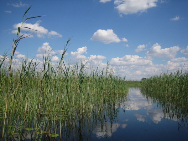 okavango