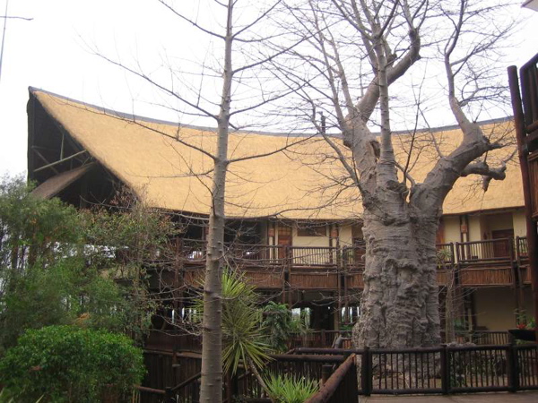 baobab.0